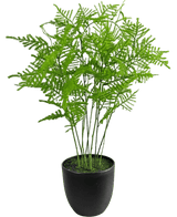 Kunstplant Asparagus 59 cm