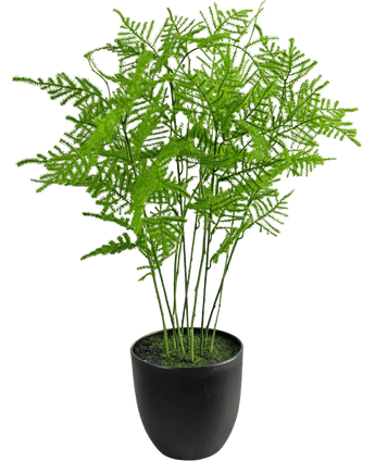 Kunstplant Asparagus 59 cm