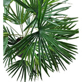 De Kunstplant Baby Palm Fan in pot UV 50 cm heeft grote, waaiervormige groene bladeren met lange, puntige segmenten - ideaal om een weelderig tropisch tintje te geven aan interieurs met sierpotten.
