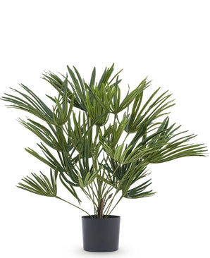 Kunstplant Baby Palm Fan in pot 50 cm