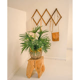De Kunstplant Baby Palm Fan in pot UV 50 cm zit op een houten kruk in een minimalistische kamer. Daarachter toont een bruin wandrek in accordeonstijl bruine en bruine leren tassen tegen een kraakheldere witte muur.