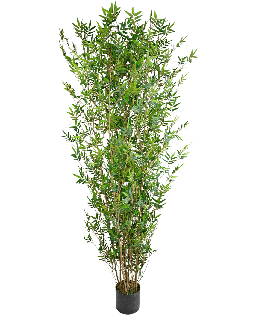 De Kunstplant Bamboe Deluxe 210 cm is een hoge kunstbamboe met slanke groene bladeren en dunne bruine stengels, in een kleine zwarte pot, perfect om groen toe te voegen aan elke ruimte.