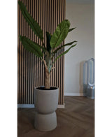 Kunstplant Bananenboom 150 cm
