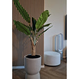 De Kunstplant Bananenboom 150 cm, met zijn weelderige groene bladeren, staat op een houten vloer bij een geribbelde wand met houten panelen. Vlakbij staan een witte ronde voetenbank en een ventilator zonder bladen op de achtergrond.
