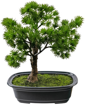 Kunstplant Bonsai Juniper 20 cm