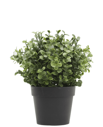 Kunstplant Buxus groen in pot 19 cm UV