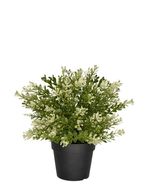 Kunstplant Buxus in pot 23 cm UV