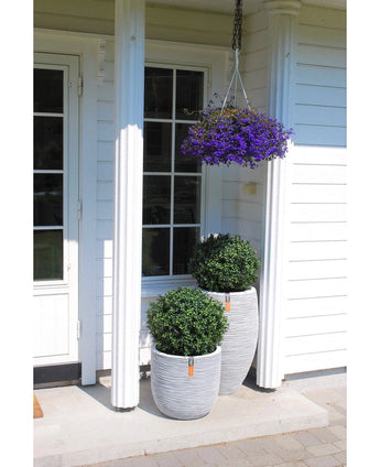 Kunstplant Buxus op stam romeinse stijl 65cm