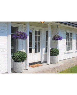 Kunstplant Buxus op stam romeinse stijl 85cm