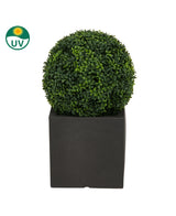 Kunstplant Buxus romeinse stijl UV D40cm