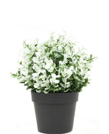 Kunstplant Buxus wit in pot 19 cm UV