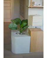 Kunstplant Calathea 46 cm