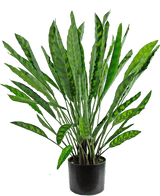 Kunstplant Calathea 60 cm