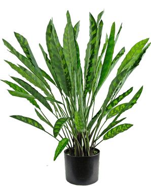 Kunstplant Calathea 60 cm