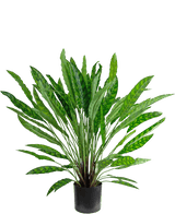 Kunstplant Calathea 85 cm
