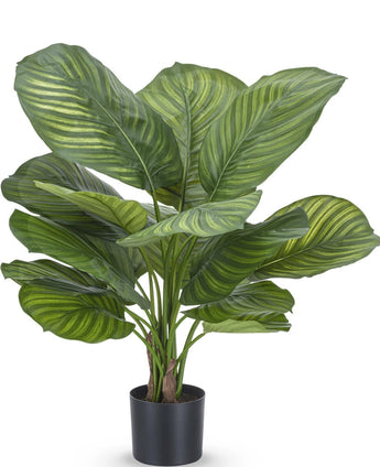 Kunstplant Calathea Fasciata 53 cm in pot