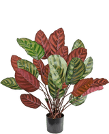 Kunstplant Calathea Makoyana 60 cm rood
