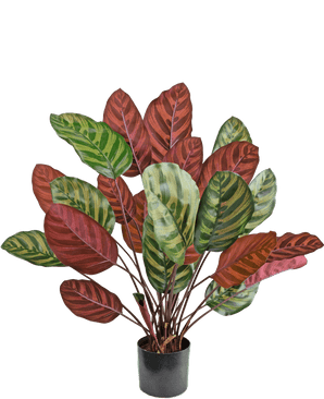 Kunstplant Calathea Makoyana 60 cm rood