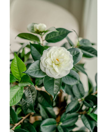 Kunstplant Camellia japonica 100 cm