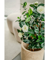 Kunstplant Camellia japonica 100 cm