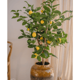 De Kunstplant Citroenboom 90 cm, met groene bladeren en gele citroenen, staat in een bruine pot van keramiek naast een houten stoel en crèmekleurige gordijnen.