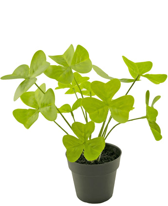 Kunstplant Clover 30 cm in sierpot zwart