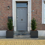 Een grijze deur met brievenbus en klopper is in een bakstenen muur gezet. Twee Kunstplant Conifeer UV 120cm kunstbomen staan aan weerszijden van de ingang en huisnummer 30 is naast de deur gemonteerd.