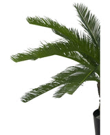 Kunstplant Cycaspalm 80 cm