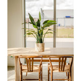 Een lichte, moderne kamer met twee houten stoelen aan een lichte tafel. Een Kunstplant Cycus Palm Deluxe 95 cm voegt levendig groen toe aan de tafel, terwijl grote ramen op de achtergrond de ruimte vullen met natuurlijk licht.