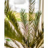 Een close-up van de groene bladeren van de Kunstplant Cycus Palm Deluxe 95 cm met zonlicht dat door een raam op de achtergrond schijnt en een zachte en heldere sfeer creëert.