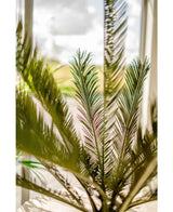 Kunstplant Cycus Palm Deluxe 95 cm