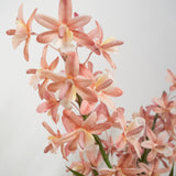 De Kunstplant Cymbidium 58 cm roze heeft lichtroze en perzikkleurige orchideeën met groene stelen en bladeren tegen een effen witte achtergrond.