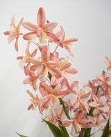 Kunstplant Cymbidium 58 cm roze
