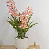 De Kunstplant Cymbidium 58 cm roze, een groene plant met lange bladeren en lange stelen met lichtroze bloemen in een witte pot van keramiek, staat op een lichte houten tafel tegen een effen witte muur.