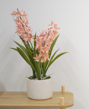 De Kunstplant Cymbidium 58 cm roze, een groene plant met lange bladeren en lange stelen met lichtroze bloemen in een witte pot van keramiek, staat op een lichte houten tafel tegen een effen witte muur.