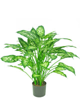 Kunstplant Dieffenbachia 75 cm