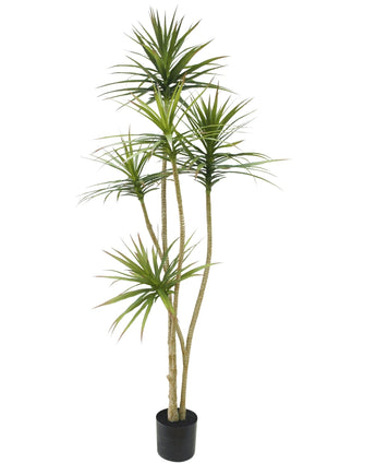 Kunstplant Dracaena Fragnans 180 cm