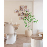 Een moderne, minimale eethoek met witte stoelen, een houten tafel en de Kunstplant Enkianthus 150 cm die groen toevoegt, aangevuld met een galeriewand van ingelijste foto's op een neutraal gekleurde achtergrond.