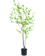 Kunstplant Enkianthus 150 cm