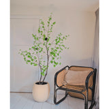 De Kunstplant Enkianthus 180 cm met groene bladeren staat naast een zwarte rotan stoel met een bruin kussen in een lichte, minimalistische kamer met witte muren en vloer, zacht verlicht door licht dat van rechts naar binnen valt.