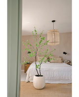 Kunstplant Enkianthus 210 cm