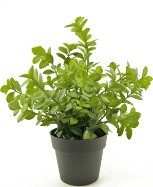 Kunstplant Eucalyptus 27 cm