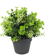 Kunstplant Eucalyptus mix 22 cm UV