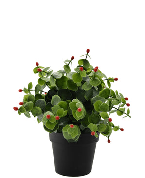 Kunstplant Eucalyptus rood in pot 22 cm UV