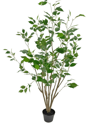 Kunstplant Ficus 120 cm