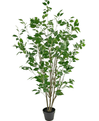 Kunstplant Ficus 150 cm