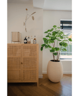 Kunstplant Ficus 150 cm