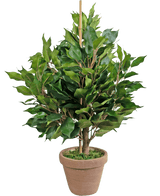 Kunstplant Ficus 60 cm in pot