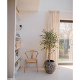 Een lichte, minimalistische kamer met een houten stoel naast de Kunstplant Ficus Bont 150 cm, transparante gordijnen, een groot raam en een witte boekenplank met boeken en decor. Het zonlicht valt zachtjes door het raam.