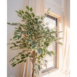 De Kunstplant Ficus Bont 150 cm, met groen en wit bonte bladeren, staat in een pot bij een zonnig raam met lichte gordijnen die de achtergrond zacht omlijsten.